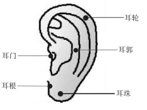 耳朵痣男|耳朵痣的位置与命运图解大全